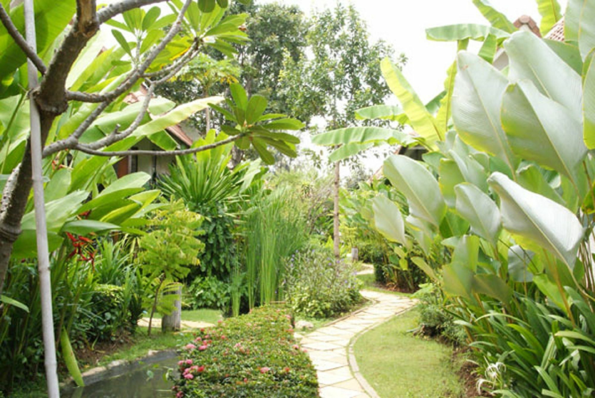 Pulsawat Palm Resort Pran Buri Exterior foto